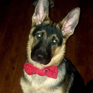 Meet your Posher, Miss